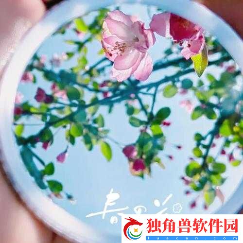 照镜子时偶然发现结合处-感悟到了什么