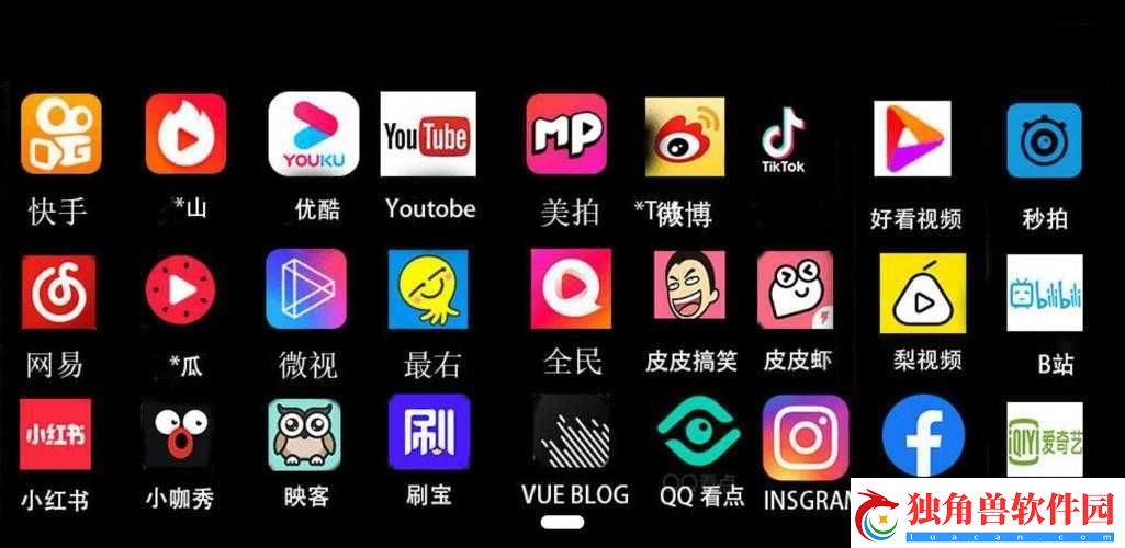 成品人短视频软件推荐：哪个更优