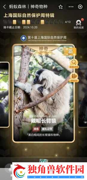 梦幻花园全国玩家盛会深圳启幕-共筑梦想家园