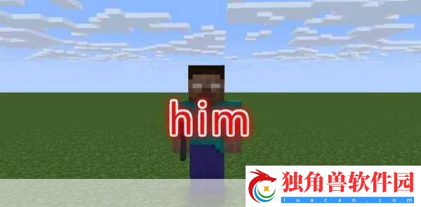 我的世界深度揭秘-探索HIM的五大不为人知秘密-骨灰级玩家必备！