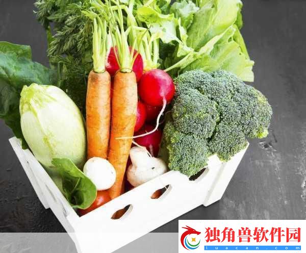 丝瓜秋葵草莓绿巨人大全：1.多彩蔬果：丝瓜、秋葵与草莓的健康之旅