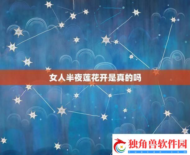夜半莲花创新绽放