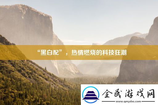 “黑白配”-热情燃烧的科技狂潮