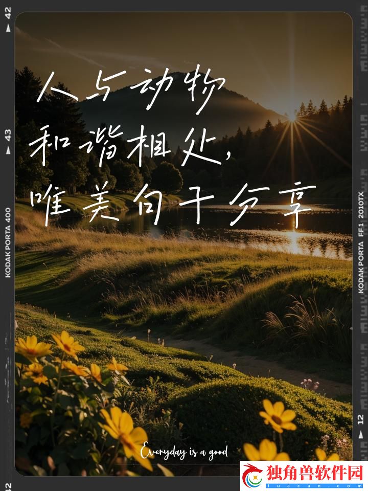 喵星人汪星人-和谐共舞互联网