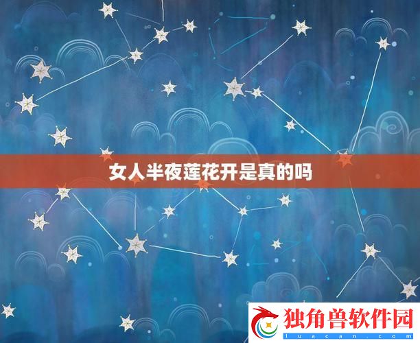 夜半莲花-创新绽放