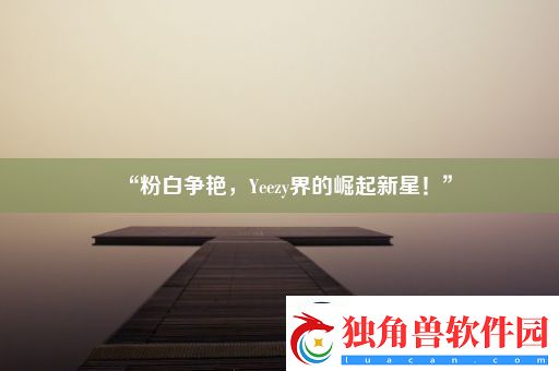 “粉白争艳-Yeezy界的崛起新星！”