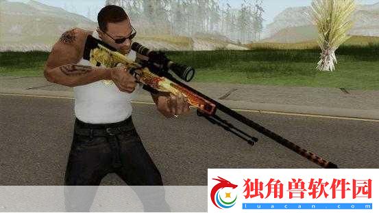 日本CS：GO大姐姐AWP多少钱：1.日本CS：GO大姐姐AWP价格揭秘与市场分析