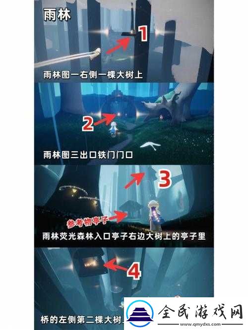 探寻光遇雨林中那些小树苗具体位置全攻略
