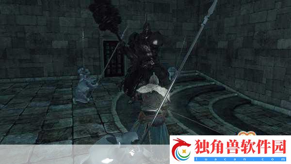 黑暗之魂2新MOD震撼登场-随机敌人-自虐挑战再升级！