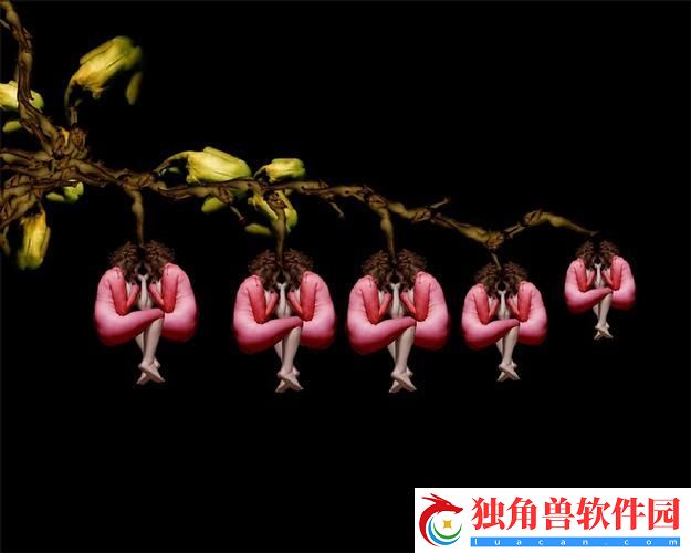 124124-艺术还是笑话