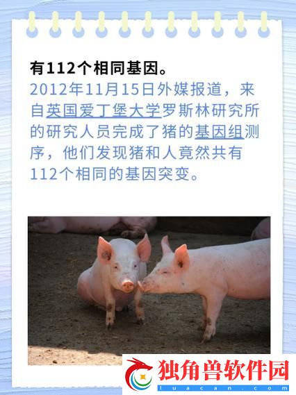 基因狂欢：猪之韵-人之谜