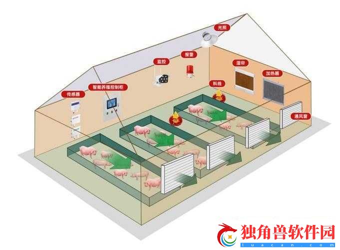 人马畜禽-company-解决方案：打造高效养殖模式