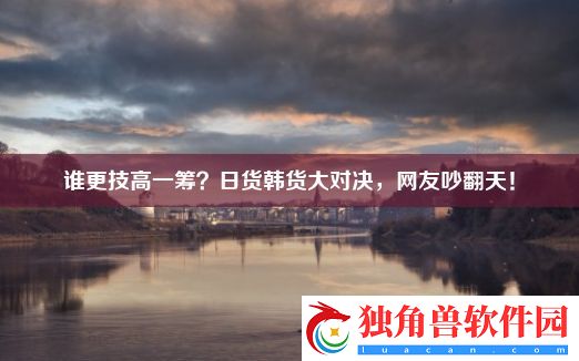 谁更技高一筹-日货韩货大对决-网友吵翻天！