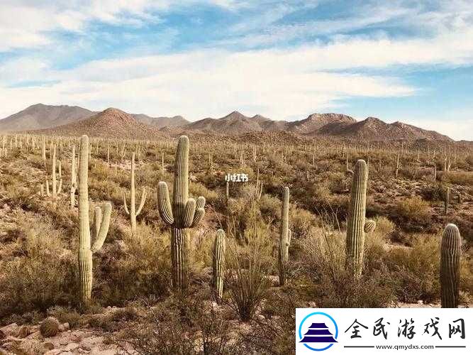 妹妹窝人体色-777777-仙人掌：探索未知的神秘世界