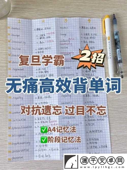 坐在学霸的大紫根上背单词：学习新体验