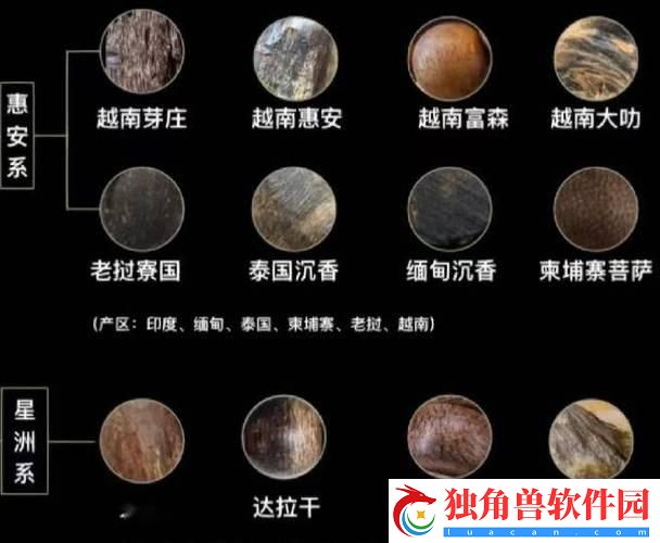“沉香一线二线-网友直呼离谱！”
