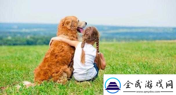 人ZOOM狗狗：可爱宠物的日常