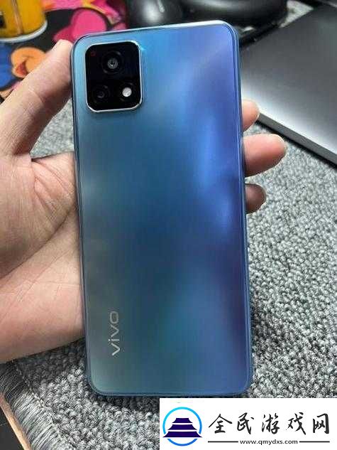 Y31-成色鉴定：全面解析与评估