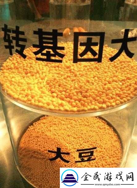 含羞草实验室隐藏入口：探寻其背后秘密