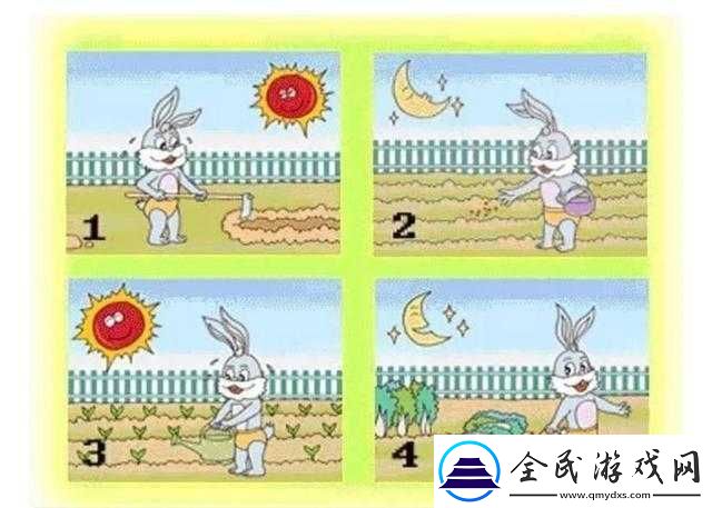一起探寻观察画面仔细对比在寻找过程中的不可或缺性