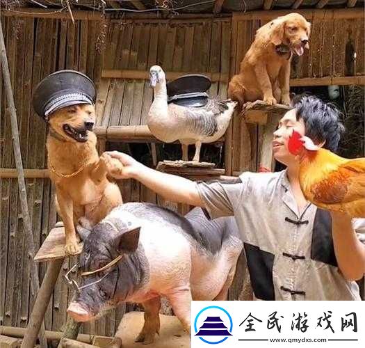人与畜禽corporation-的发展内置超强音效：独特魅力