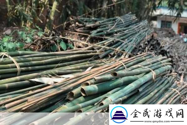 探寻蜀纸之乡精湛竹纸制造工艺的传奇之旅