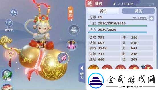 梦幻新诛仙神兽小灰全方位技能解析助你深度了解其强大之处