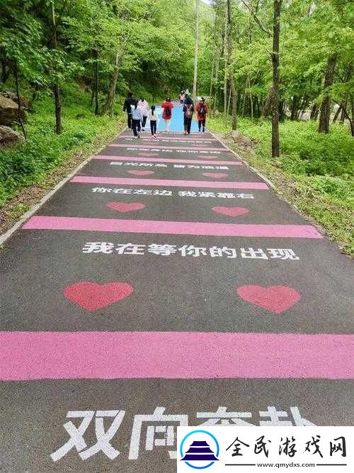爱情路线测试二免费：全新测试等你来体验