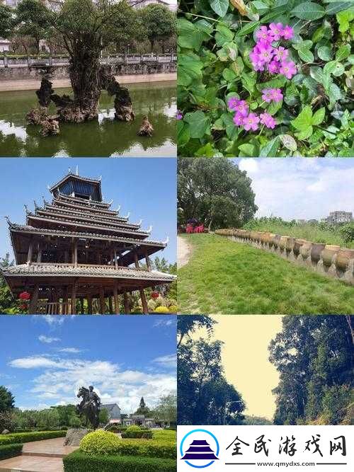 英雄战歌：古墓琴瑟效果获取图鉴——探寻神秘古墓-掌握英雄力量