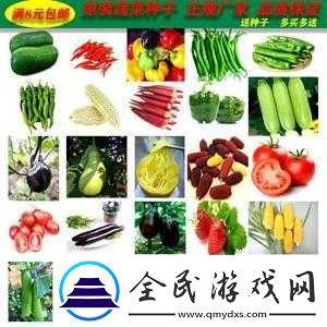 秋葵茄子丝瓜香瓜榴莲大全：果蔬品种介绍