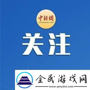 性吧克：重塑在线性知识分享的平台
