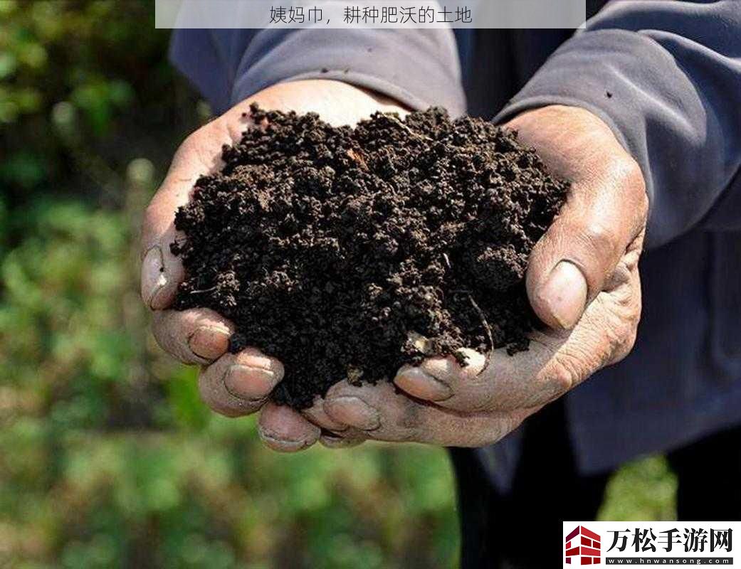 姨妈巾-耕种肥沃的土地