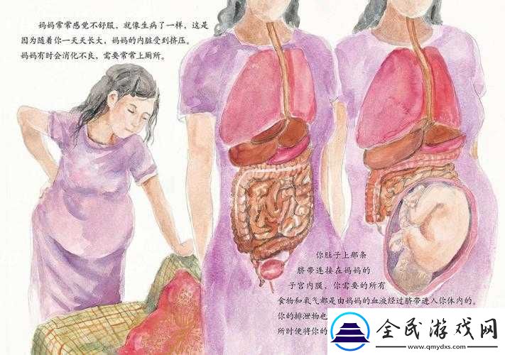 成长的秘密观看