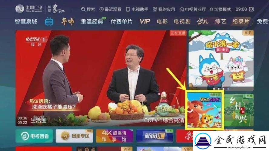 直播+回看：畅享海量有线电视节目