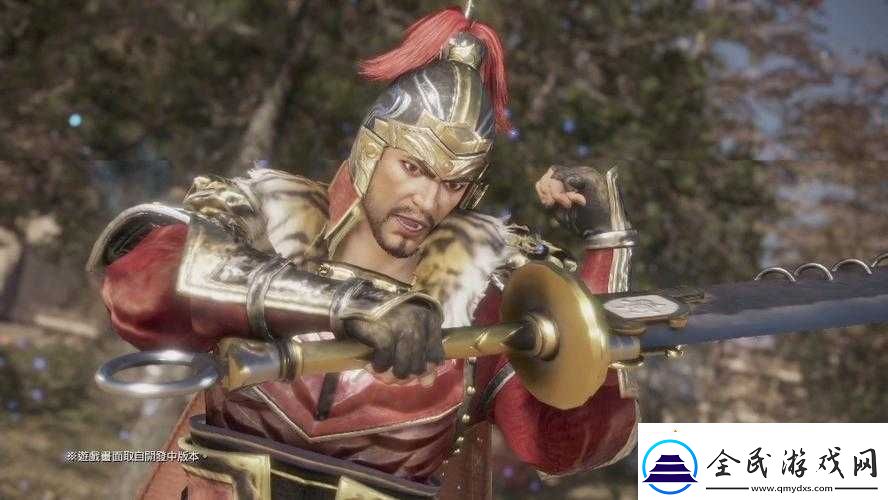 真国无双8孙坚