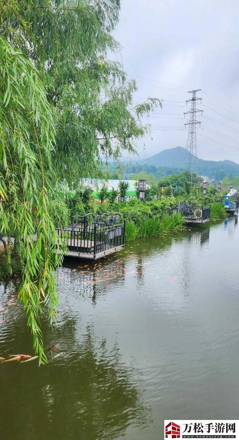 老镖客城中村最火的一句：人生就像一场旅行-不在乎目的地-在乎的是沿途的风景和看风景的心情