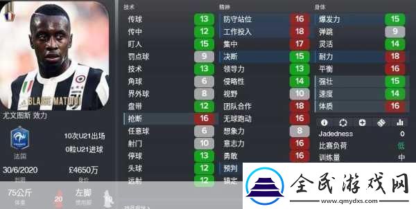 足球经理2011深度解析-FM黄牌频率竟是现实的双倍