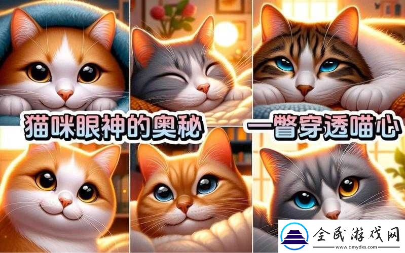 猫咪-MV-最新地域名怎么取：探索其奥秘