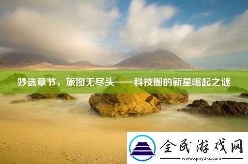 妙选章节旅图无尽头——科技圈的新星崛起之谜