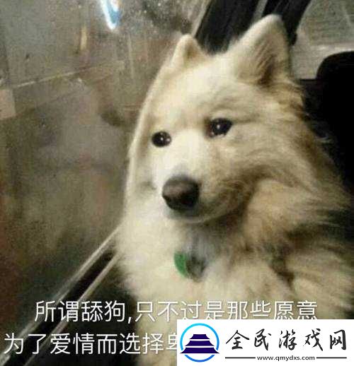 啊你-tm-别舔了好疼：舔狗的痛苦谁懂