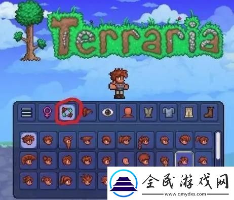 泰拉瑞亚怎么捏脸才能好看捏脸好看方法