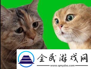猫猫对话是什么梗络用语-猫猫对话梗意思及出处分享