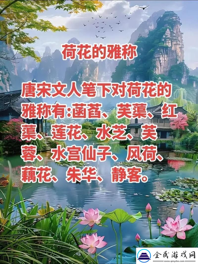 “花婉柔镇国公”的科技花招-笑谈中绽放