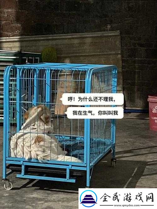 老牛嫩草一二三产品区别蘑菇视频：深度解析