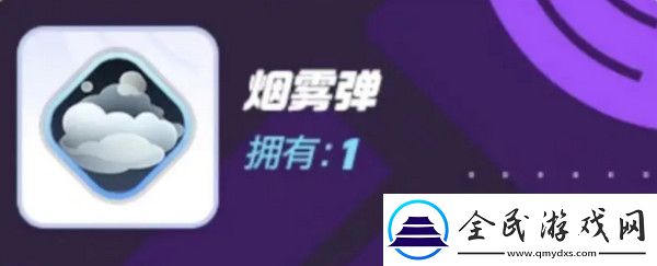 宝可梦大集结对战道具有哪些