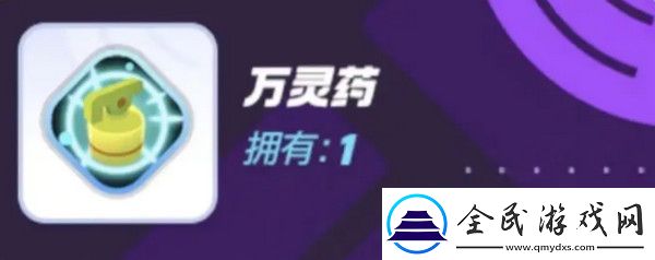 宝可梦大集结对战道具有哪些