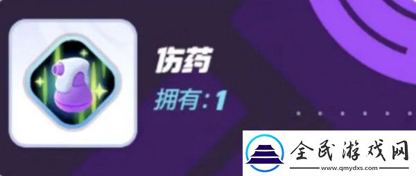 宝可梦大集结对战道具有哪些