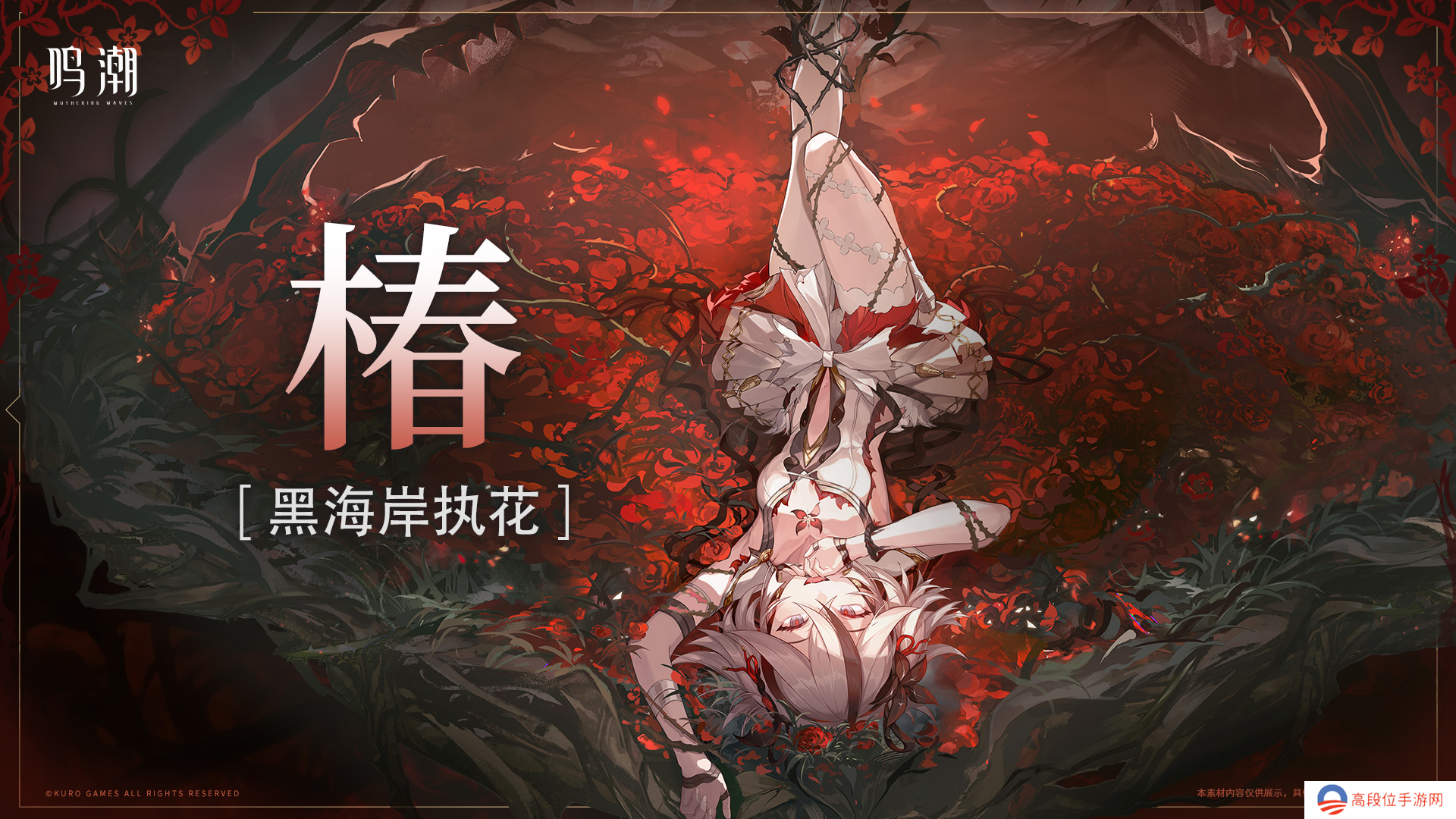 鸣潮椿培养攻略