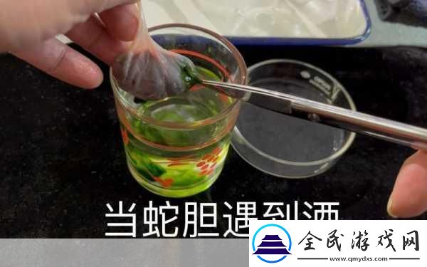 剑三蛇胆在哪刷剑三蛇胆获取方法介绍-成为游戏高手的必备秘籍