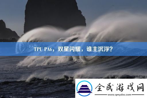 TPU-PA6-双星闪耀-谁主沉浮